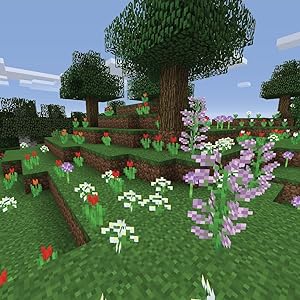 Flower Forest Biome